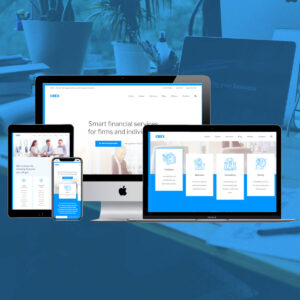 CBEX-accounting-taxation-website-design-webvizion