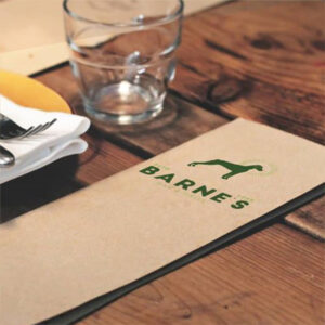 Barnes-Logo-webvizion-global