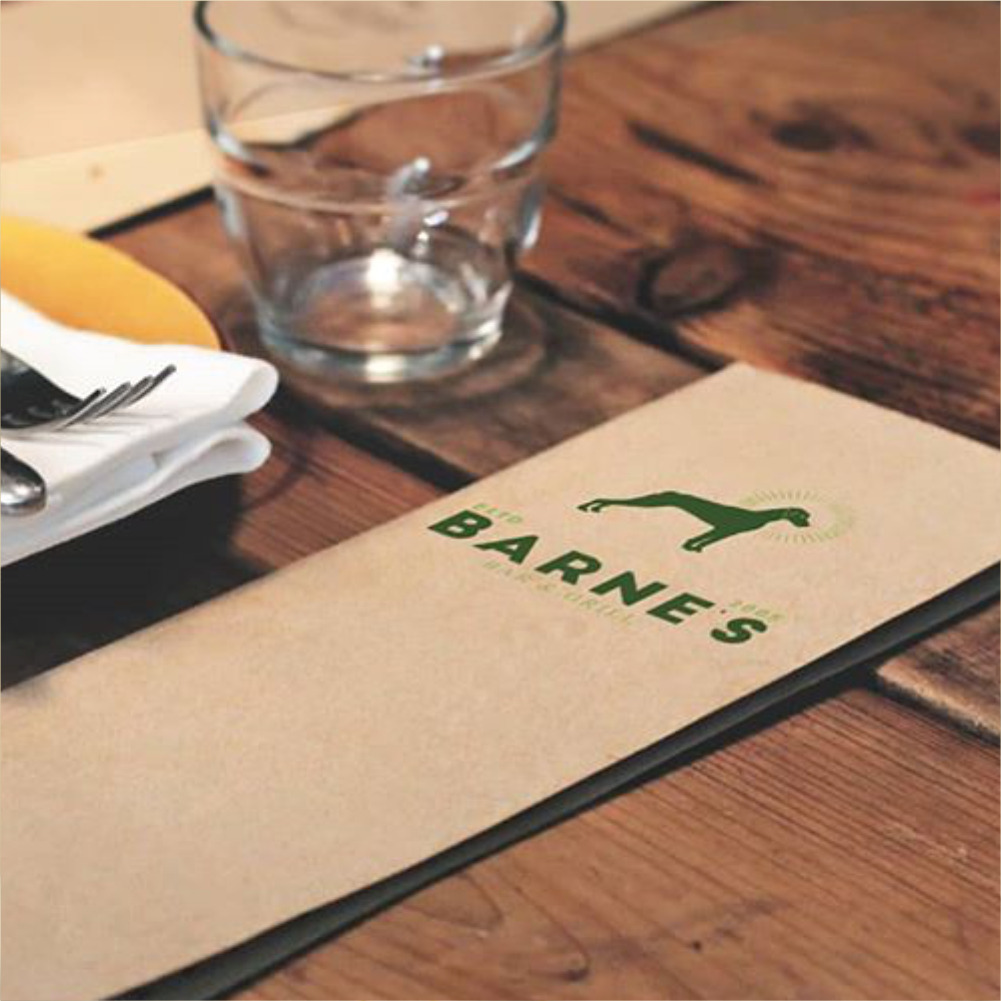 Barnes-Logo-webvizion-global