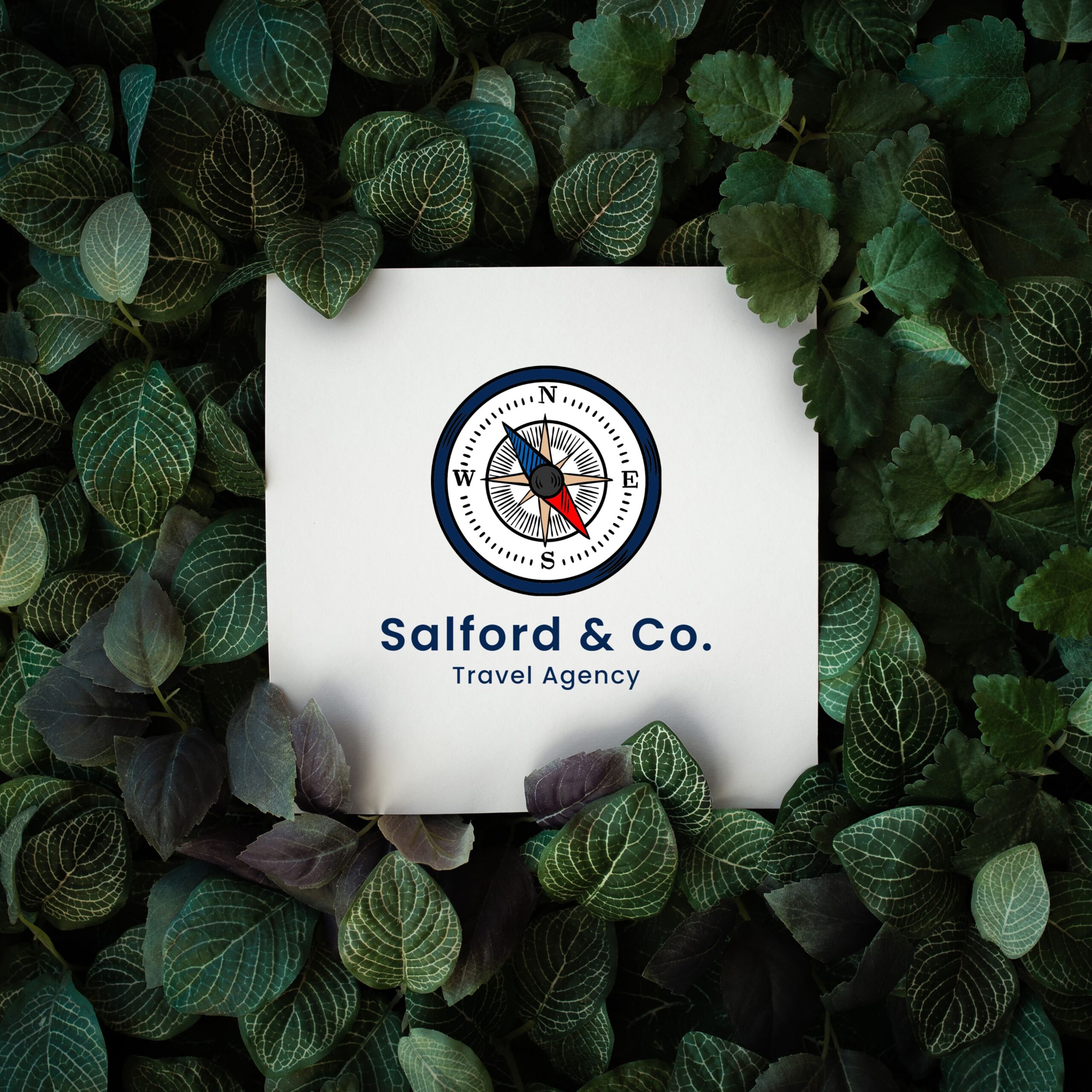 Salford-Co-logo-webvizion