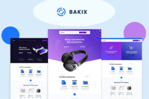 bakix-website-webvizion