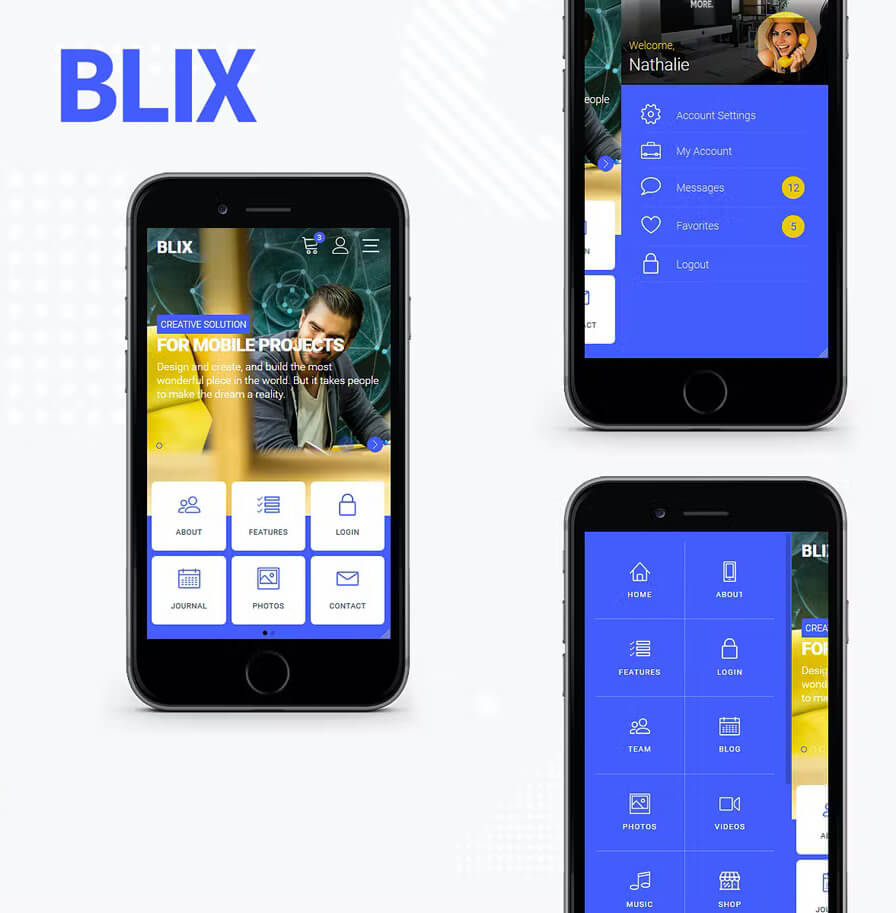 blix-website-webvizion