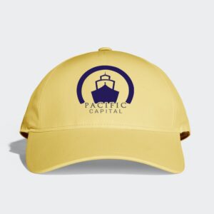 pacific-capital-branding-webvizion