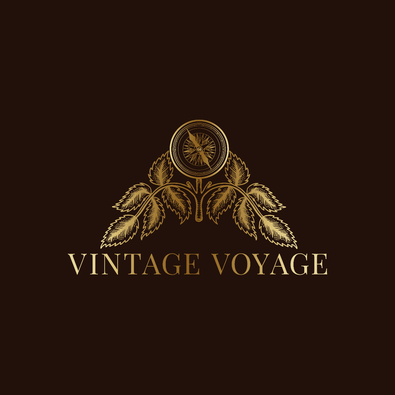 vintage-voyage-logo-webvizion
