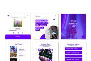 entertainment-social-media-portfolio2-Webvizion
