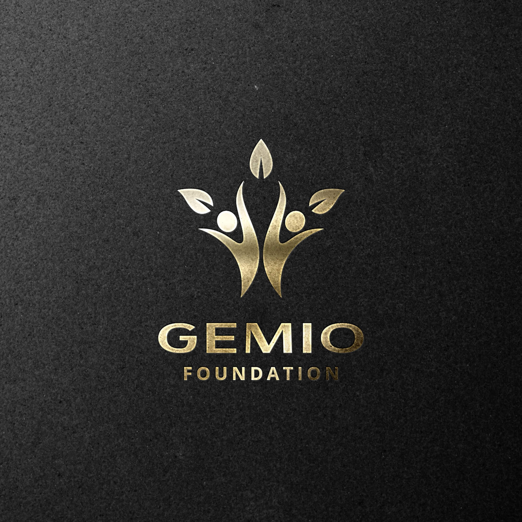 Gemio-Foundation-logo-design-south-africa-webvizion