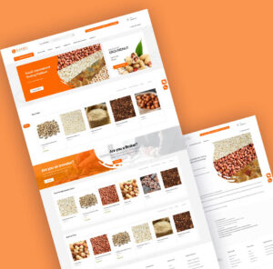 Saadir-website-design-south-africa-webvizion