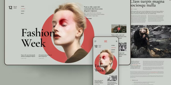 Webvizion Global Web Design & Development (3)