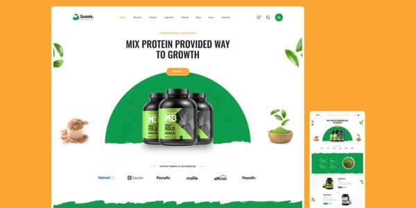 Webvizion Global Web Design & Development (5)