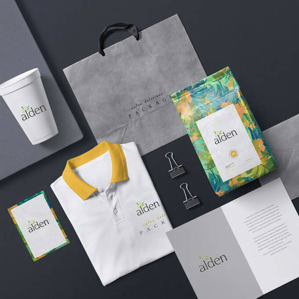 alden-business-packages-digital-agency-webvizion