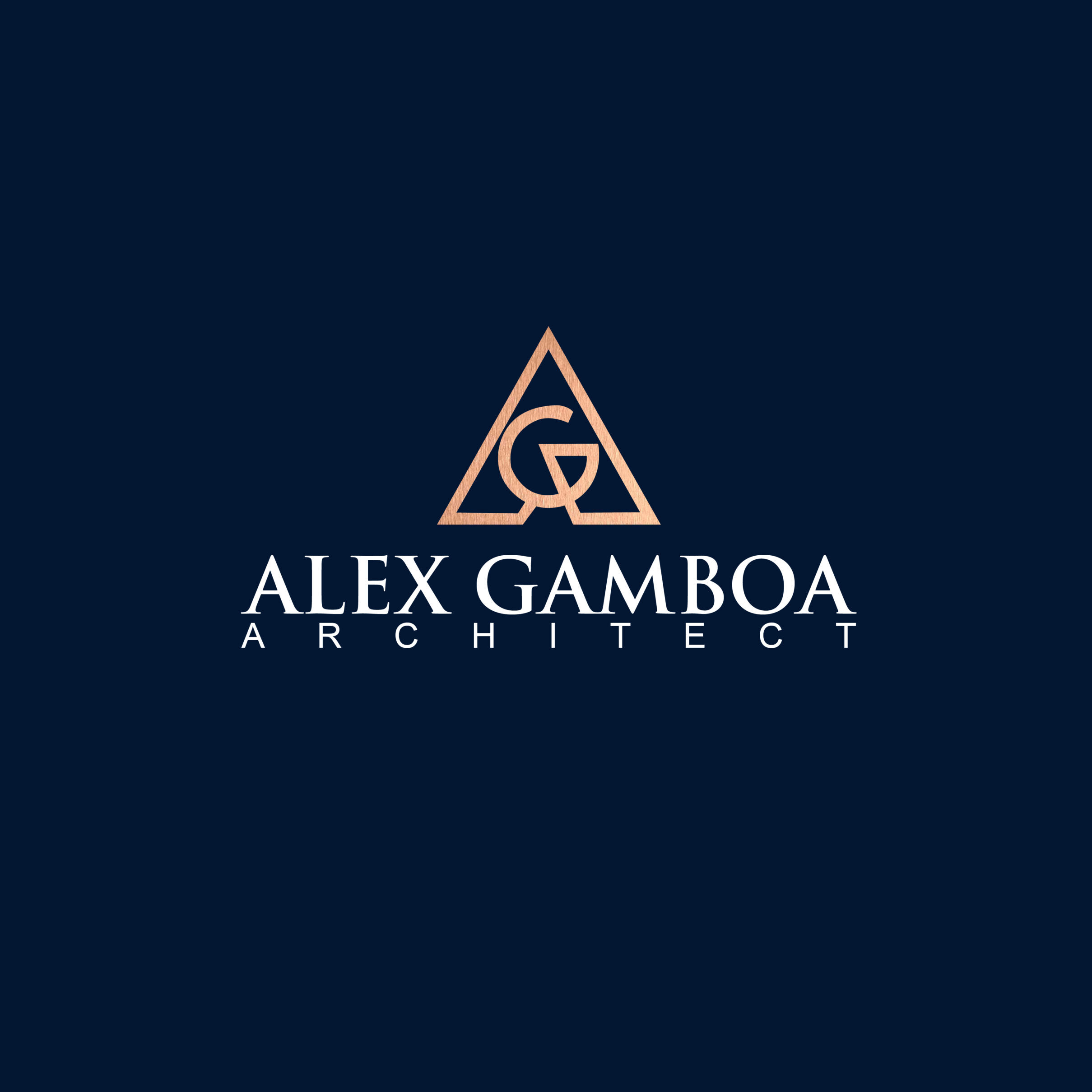 Alex-Gamboa-Architect-Logo-Webvizion-Global-Logo-Design-Agency