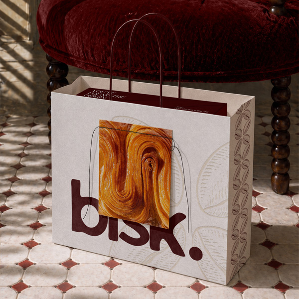 Webvizion Logo and Branding Portfolio Bisk (2)
